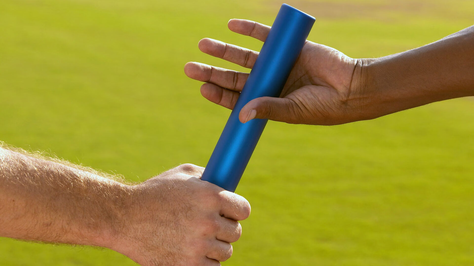 kaiyun体育app-揭秘马术世界杯赛马选拔机制，马术世锦赛