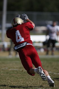 开云在线直播-五大联赛最具统治力的球队如何打造，五大联赛良心球队