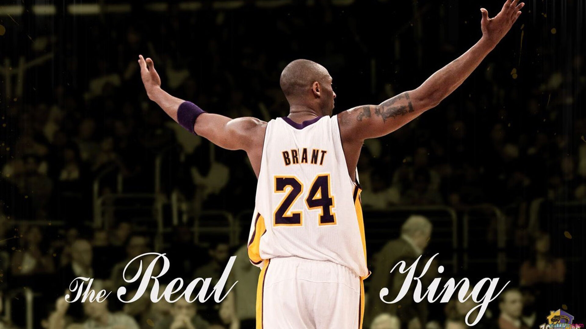 “天涯海角,极速追逐”——全球最壮观的WRC赛道巡礼,wrc赛事车型